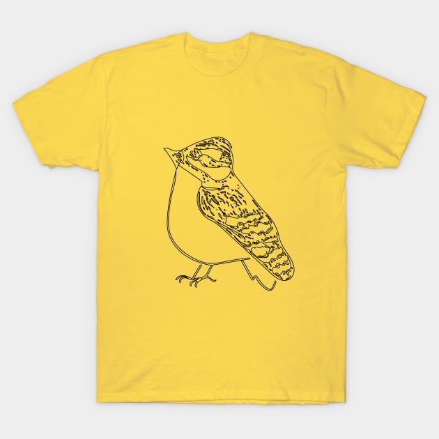 Bird Art T-Shirt by fruitfulart